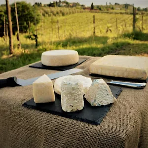 Fattoria Le Caprine Gambassi Terme